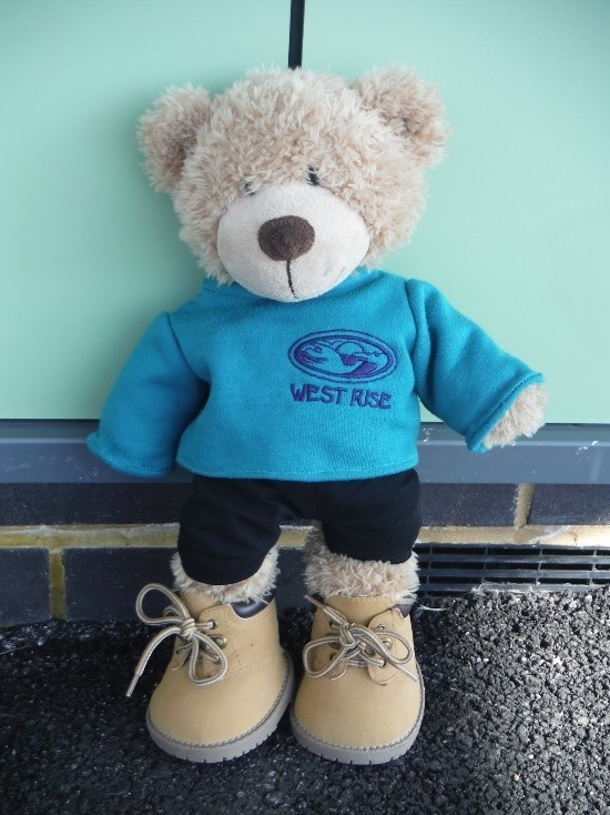 tesco teddy bear cedric to buy