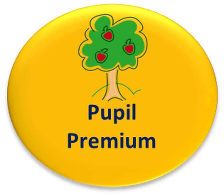 Image result for pupil premium logo