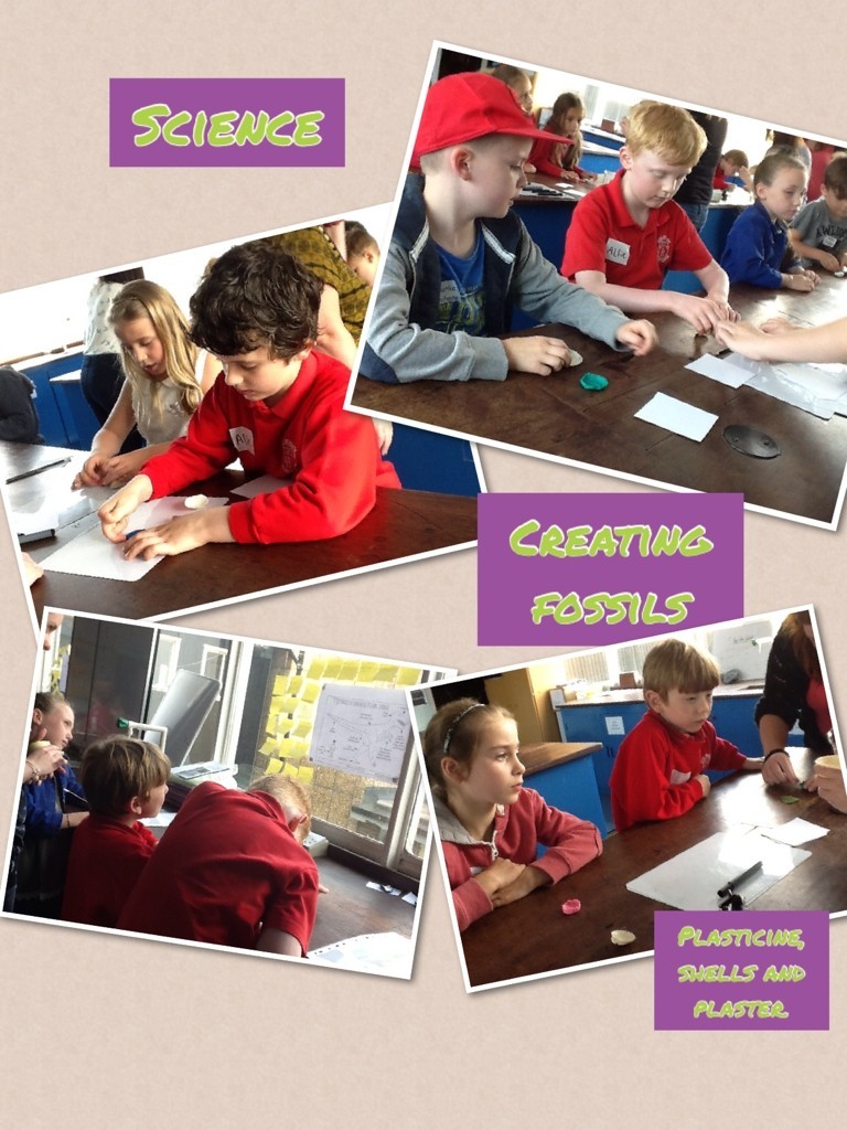 Science - making fossils