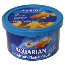 goldfish