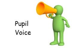 Image result for pupil questionnaire