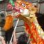 Dragon Dance