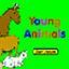Young Animals Young Animals
