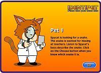 identipet identipet