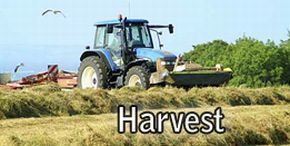 harvest