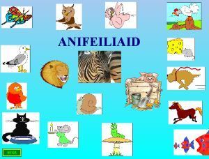 animals