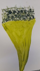 20170921_105513.jpg
