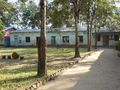 P1000283.JPG
