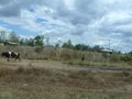 P1000193.JPG