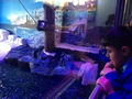 IMG_0857.JPG
