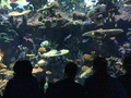 IMG_0859.JPG