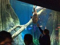 IMG_0871.JPG
