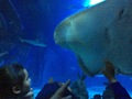 IMG_0945.JPG