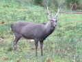 IMG_2730.JPG