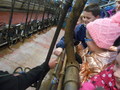 DSCN7511.JPG