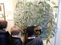 DSCN0060.JPG