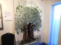 DSCN0081.JPG