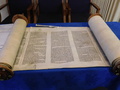 DSCN0086.JPG