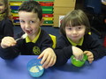 More Porridge please