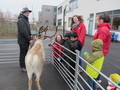 IMG_2974.JPG