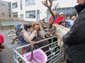 IMG_3026.JPG