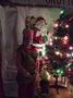 IMG_7966.JPG