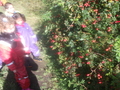 DSCF0018.JPG