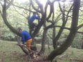 DSCF0040.JPG