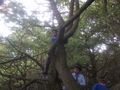 DSCF0042.JPG