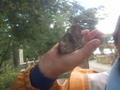 DSCF0078.JPG
