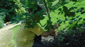 DSC00536.JPG