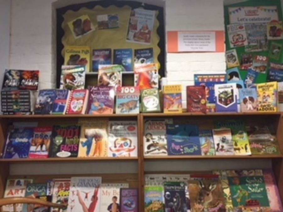 Some of the Library books purchased with funds raised by the School's Council!