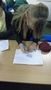 DSC05937.JPG