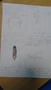 DSC05940.JPG
