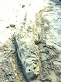 IMG_1006.JPG