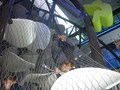 P1020243.JPG