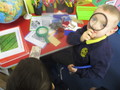 Investigating fabric