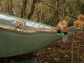 DSCF7497.JPG