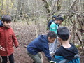 DSCF7499.JPG