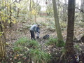 DSCF7506.JPG