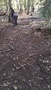 WP_20171030_001.jpg