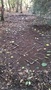 WP_20171030_006.jpg