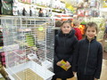 IMG_2517 - Copy.JPG