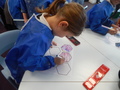 DSCN6138.JPG