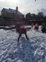 Snow day 935.JPG