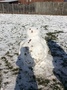 Snow day 939.JPG