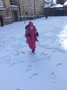 Snow day 1095.JPG
