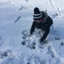 Snow day 1106.JPG