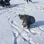 Snow day 1107.JPG