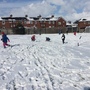 Snow day 1130.JPG